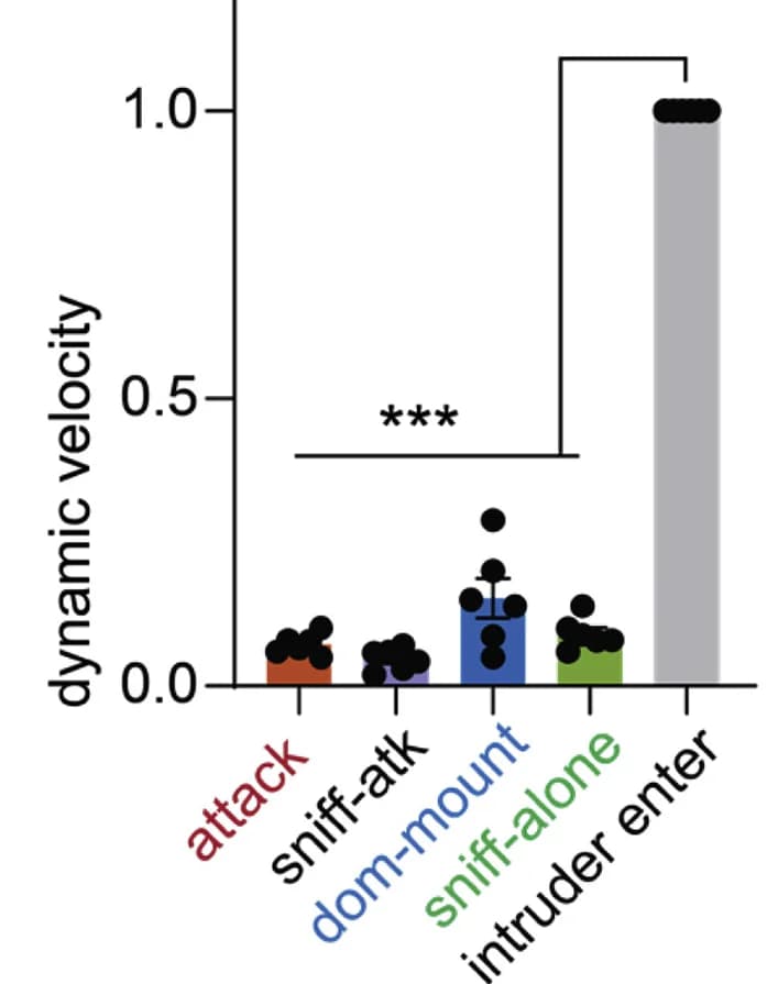 Open access visualization of Bar Plot, Error Bars, Dynamic Velocity, Behaviors, Mice