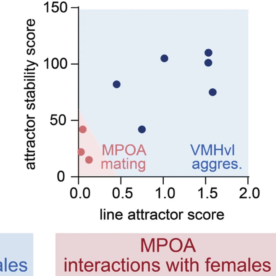 Open access visualization of Scatter Plot, Line Attractor Score, Attractor Stability Score, VMHvl, MPOA