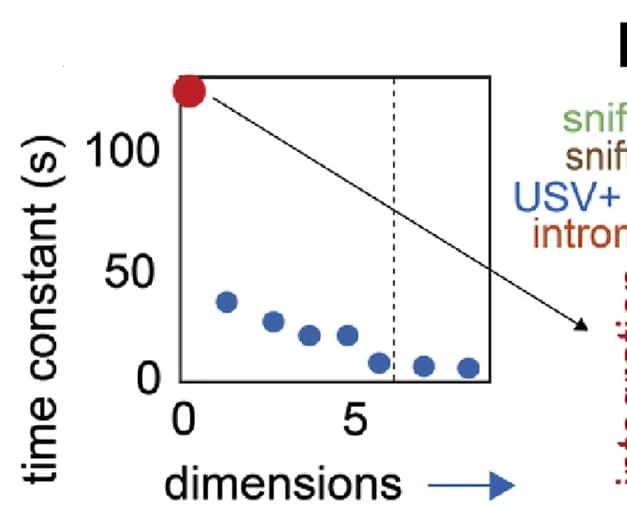 Open access visualization of Scatter Plot, Time Constants, rSLDS Dimensions, Mating, VMHvl Mouse