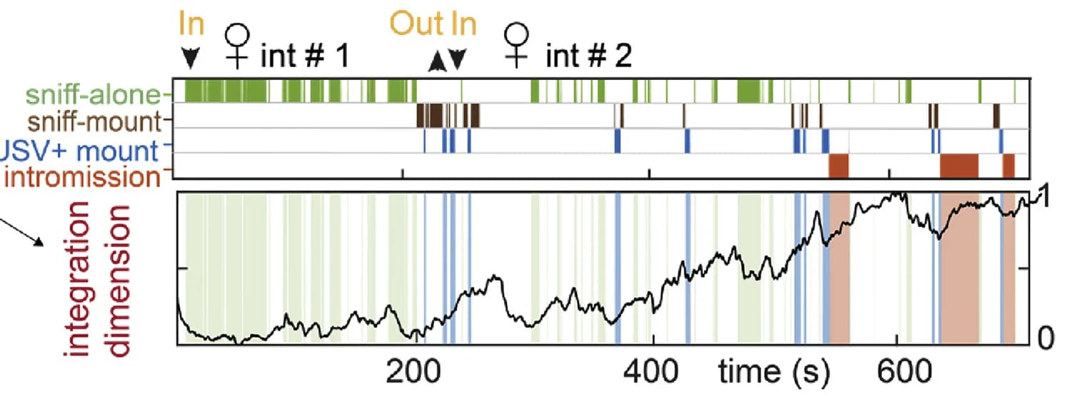 Open access visualization of Line Plot, Bar Plot, Integration Dimension, Behavior Annotations
