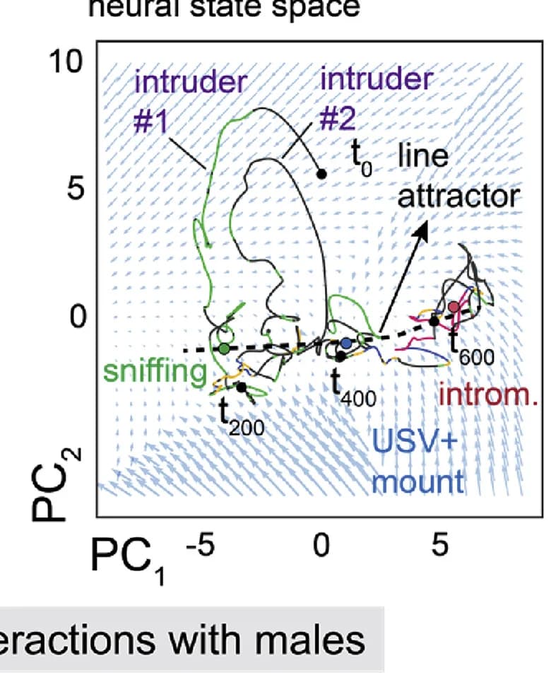 Open access visualization of Scatter Plot, PCA, Neural State Space, Population Trajectories, VMHvl Mouse