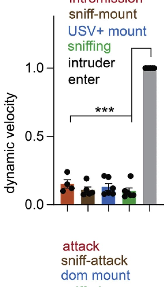 Open access visualization of Bar Plot, Error Bars, Scatter Plot, Dynamic Velocity, Mating Behavior