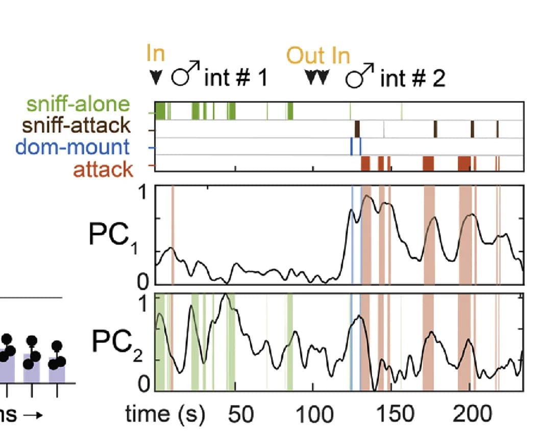 Open access visualization of Line Plot, Bar Plot, Behavior Rasters, Principal Components, Dynamical System