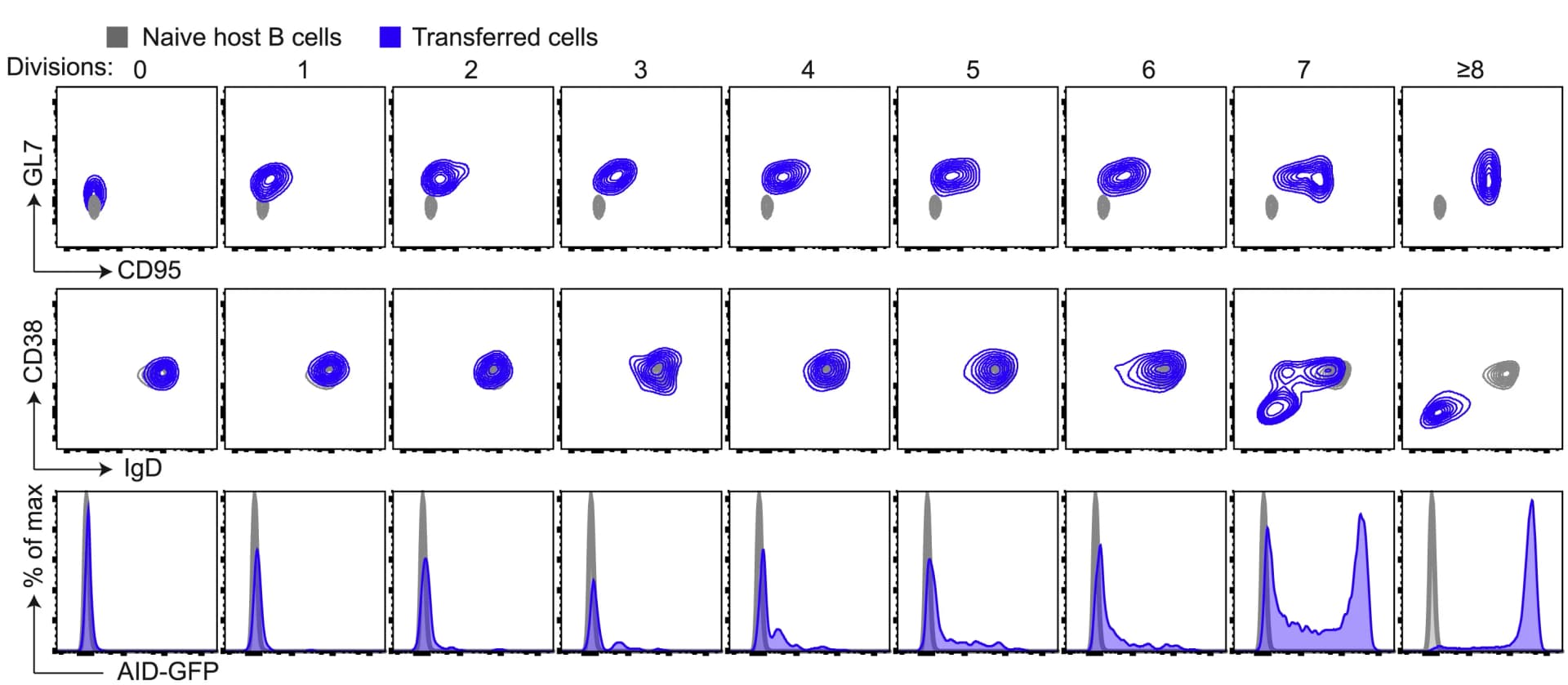 Open access visualization of Scatter Plot, Density Plot, Flow Cytometry, B Cells, CD95