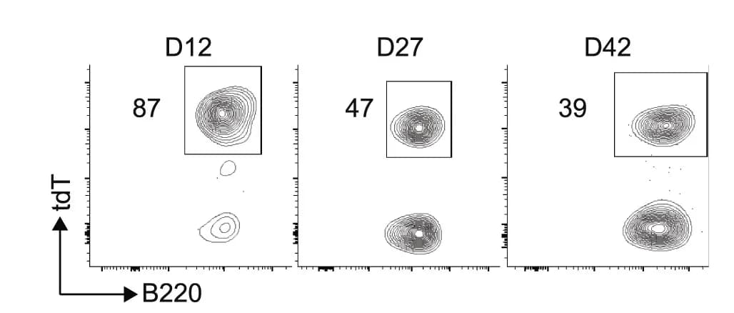 Open access visualization of Scatter Plot, Flow Cytometry, GC B Cells, TM4-Core, Immunization