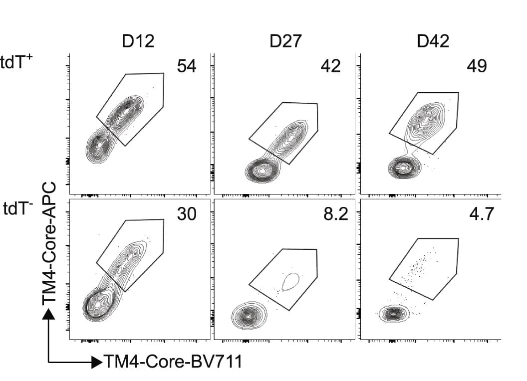 Open access visualization of Scatter Plot, Flow Cytometry, GC Cells, TM4-Core, Immunization
