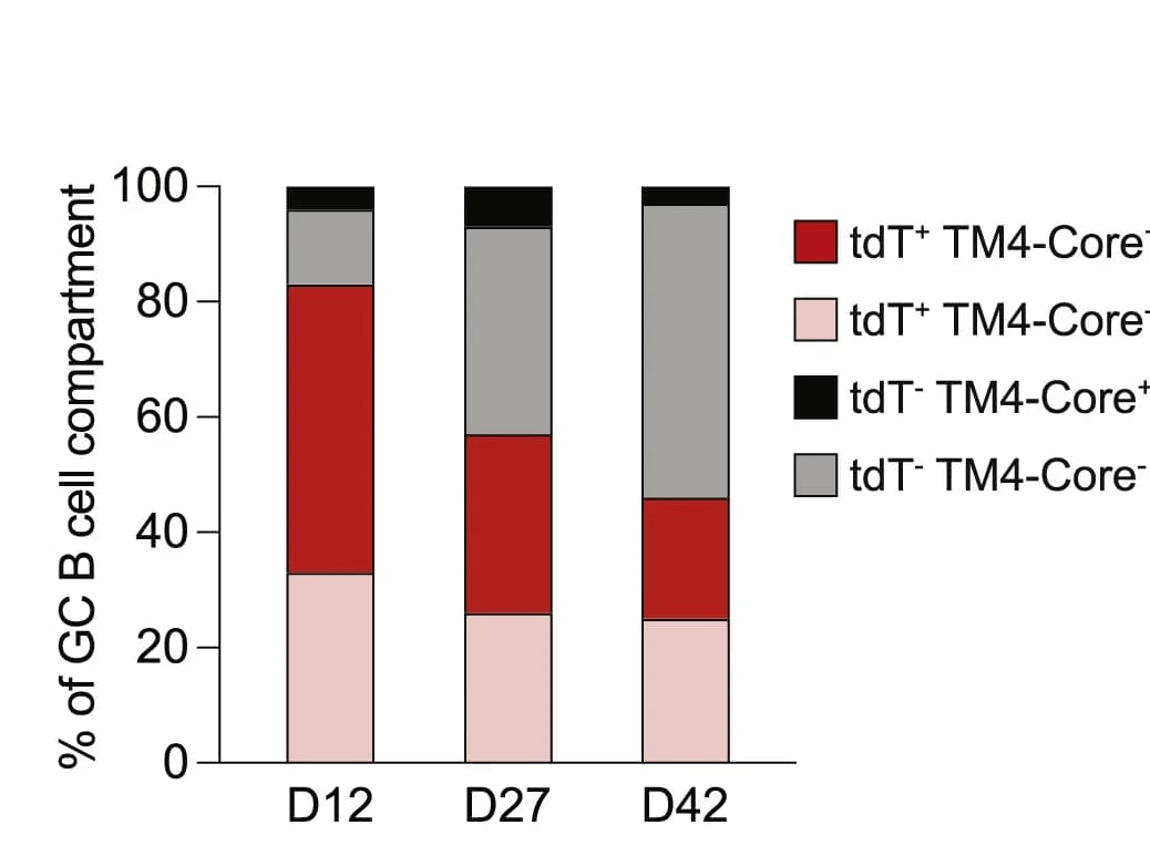 Open access visualization of Stacked Bar Plot, GC Cells, TM4-Core, Immunization