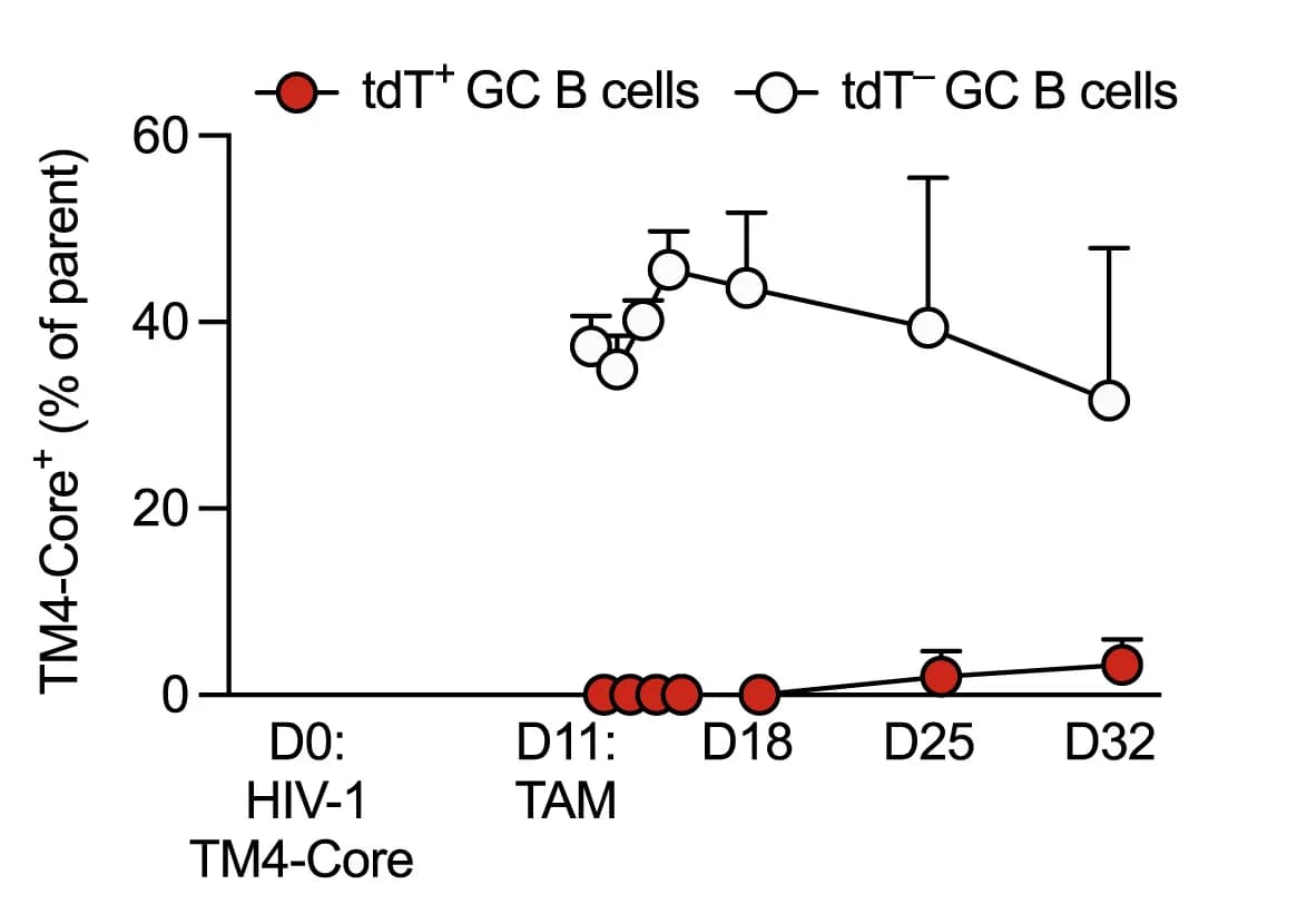 Open access visualization of Line Plot, Error Bars, TM4-Core Binding Cells, GC B Cells, Flow Cytometry