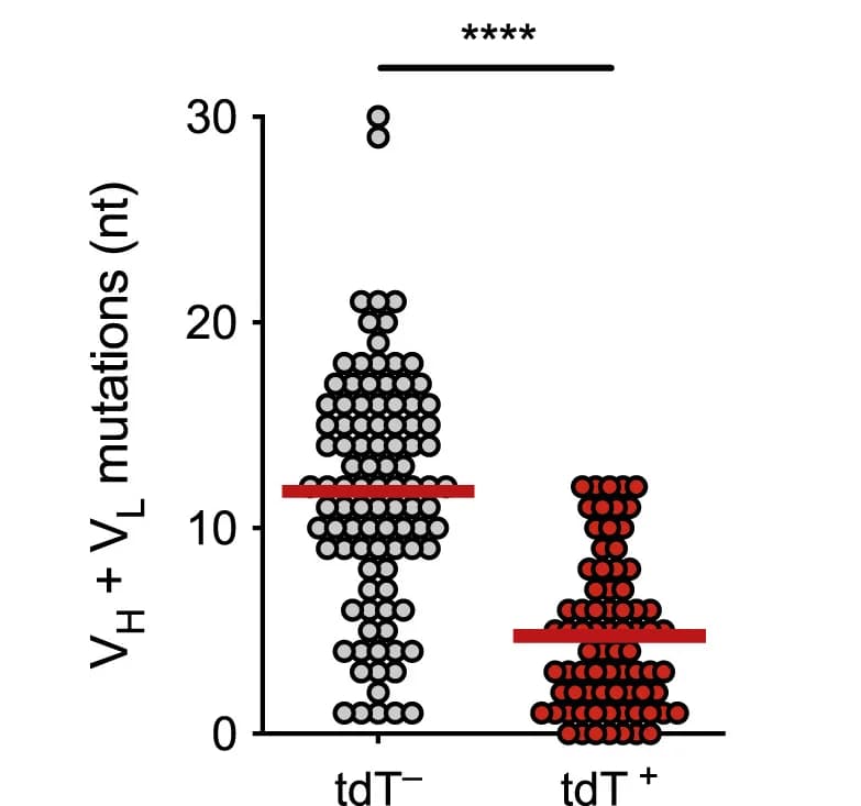 Open access visualization of Scatter Plot, Somatic Mutations, Antibodies, GC B Cells, Graph