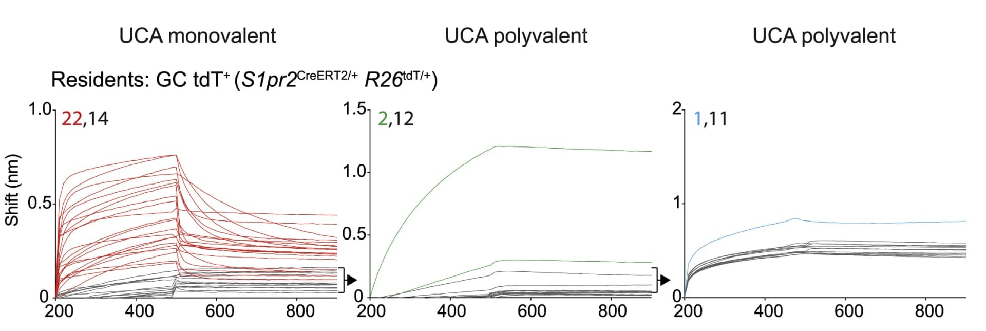 Open access visualization of Line Plot, Biolayer Interferometry, UCA Fabs, Resident GC B Cells