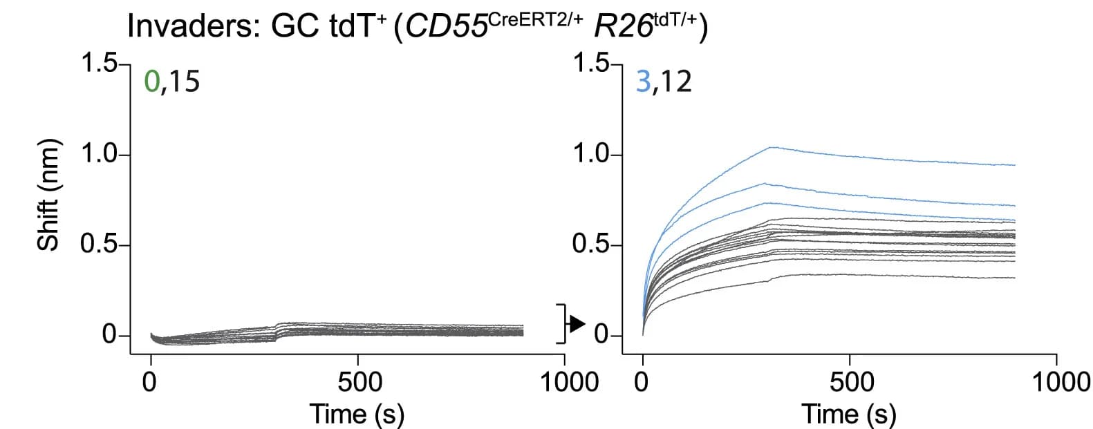 Open access visualization of Line Plot, Biolayer Interferometry, UCA Fabs, Invader GC B Cells