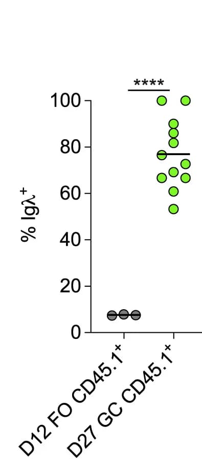 Open access visualization of Scatter Plot, Flow Cytometry, B Cells, GC Cells, Mice