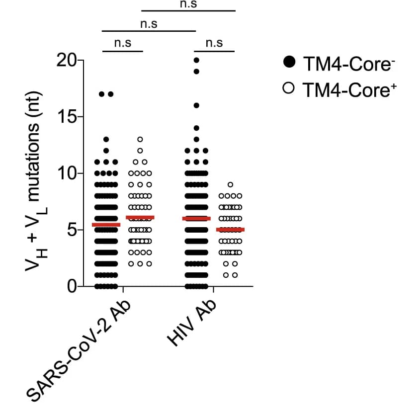 Open access visualization of Scatter Plot, Graph, Somatic Mutations, Antibodies, GC B Cells