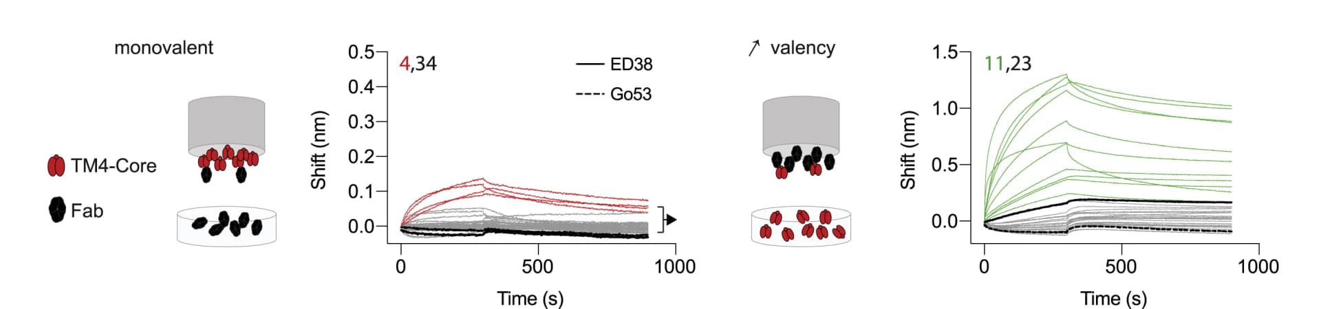 Open access visualization of Line Plot, Biolayer Interferometry, Fabs, GC Cells, Mice