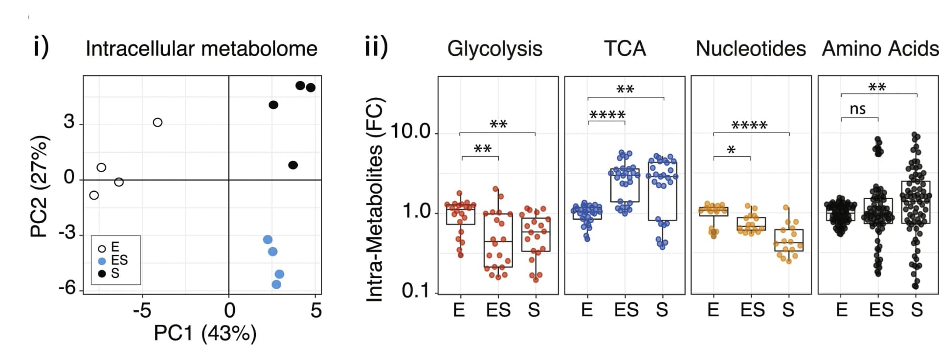 Open access visualization of PCA, Scatter Plot, Box Plot, Metabolome Analysis, Nucleotide