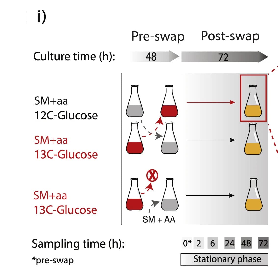 Open access visualization of Workflow, Flowchart, Illustration, Yeast Cells, Glucose