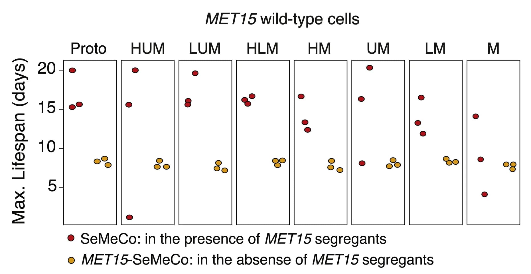 Open access visualization of Scatter Plot, MET15, Prototrophic Metabotypes, SeMeCo, MET15-SeMeCo
