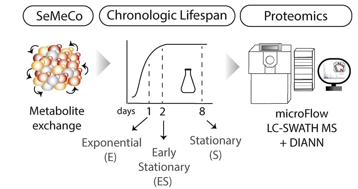 Open access visualization of Workflow, Illustration, Line Plot, Proteomics Analysis, Chronological Aging
