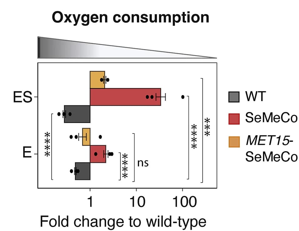 Open access visualization of Bar Plot, Error Bars, Clustered, Oxygen Consumption, O2 Saturation