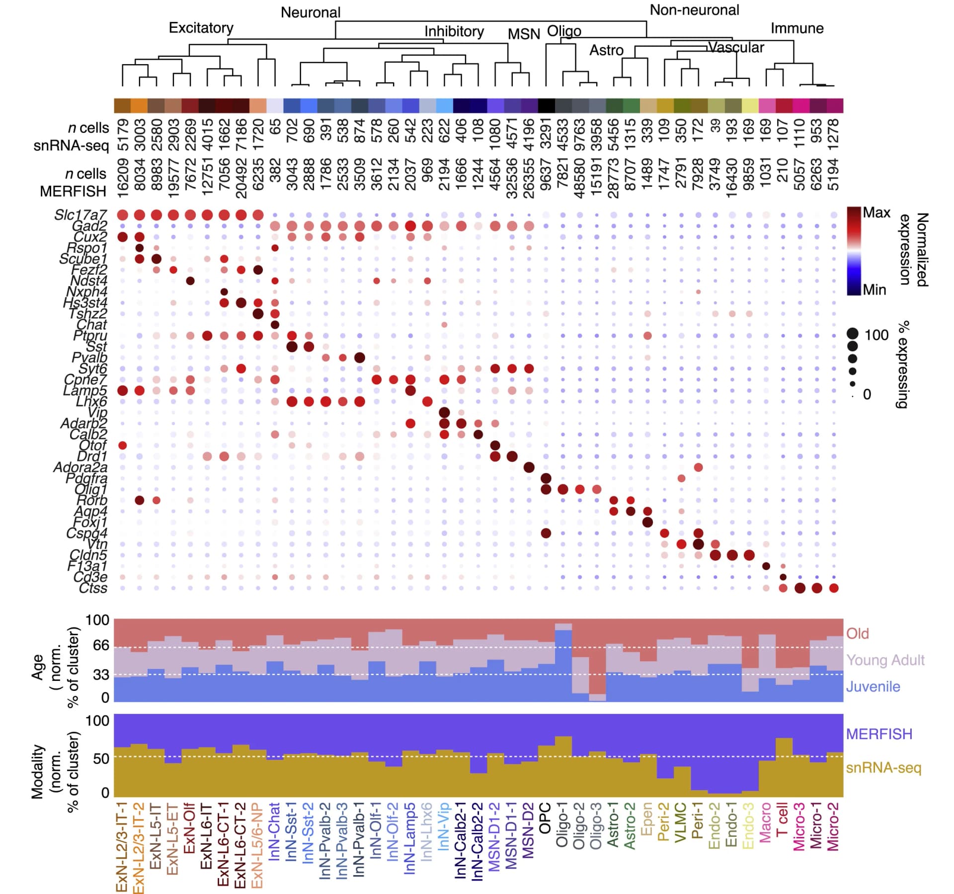 Open access visualization of Heatmap, Bubble Plot, Bar Plot, Clustered, Cell Types