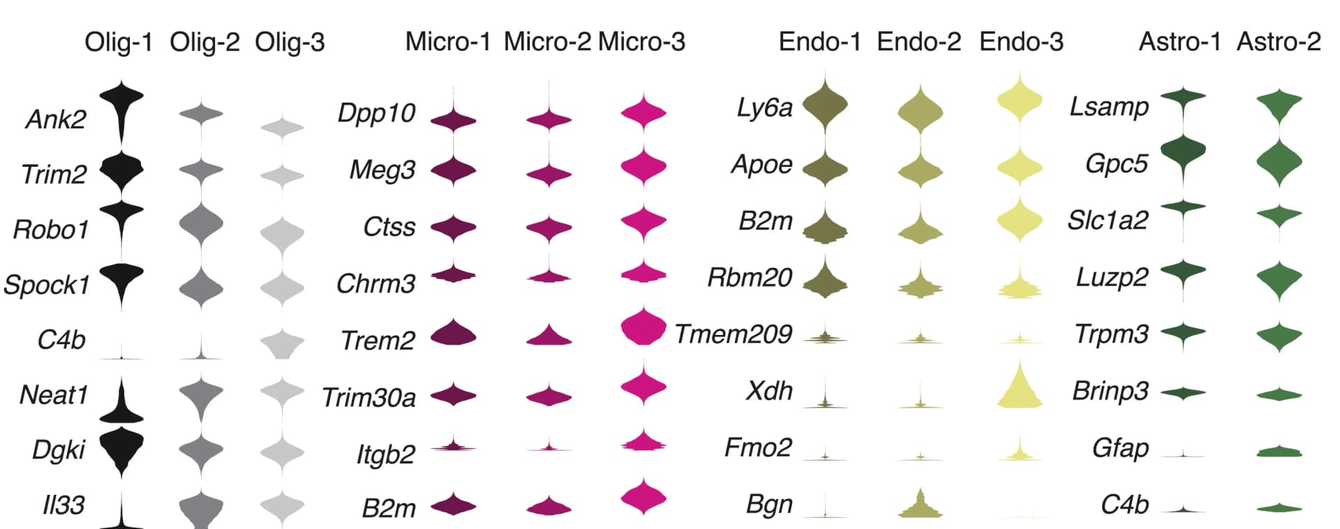 Open access visualization of Violin Plot, Gene Expression, Oligodendrocytes, Microglia, Endothelial Cells