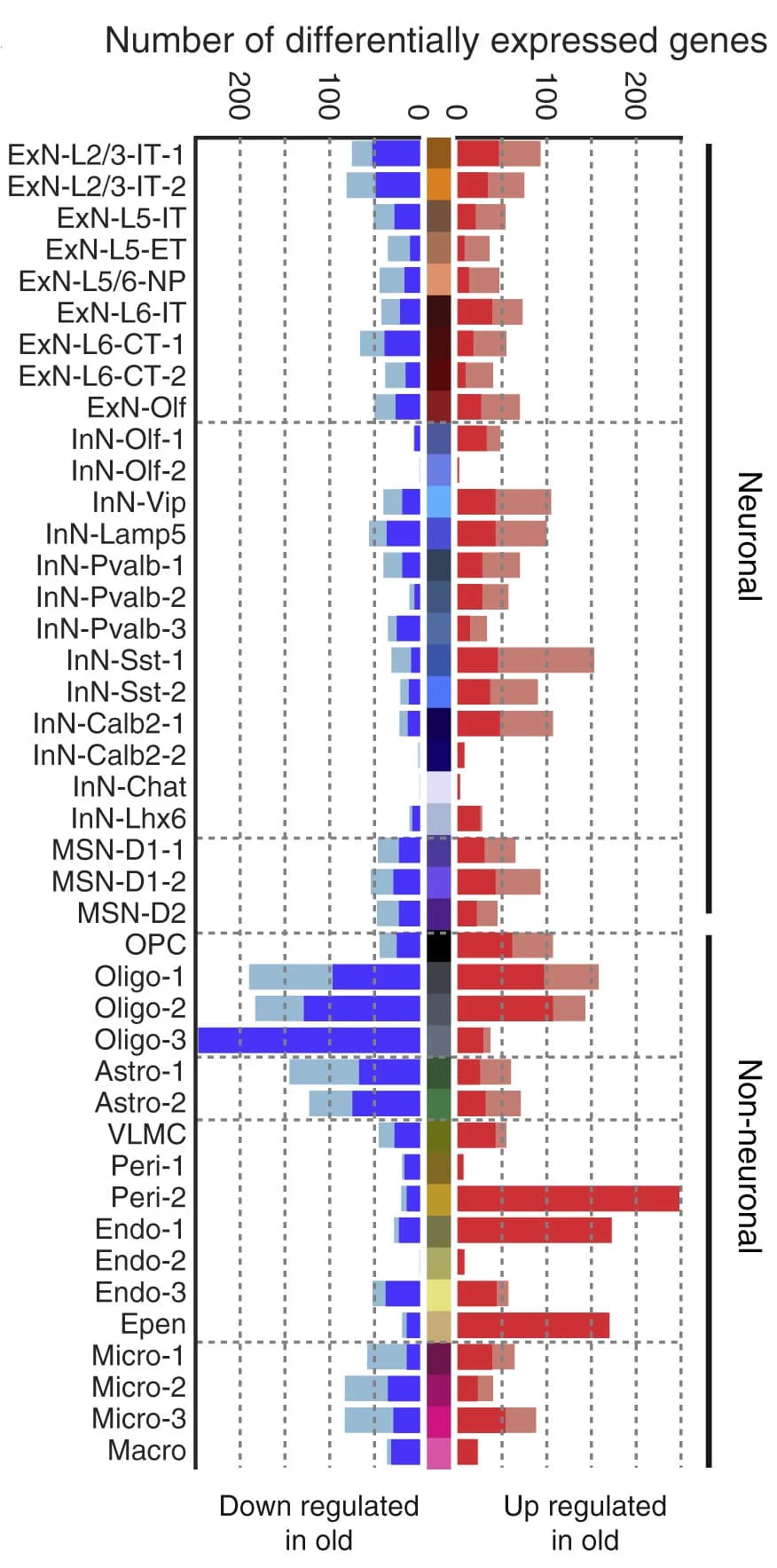 Open access visualization of Bar Plot, Clustered, Differentially Expressed Genes, Cell Clusters, Gene Expression