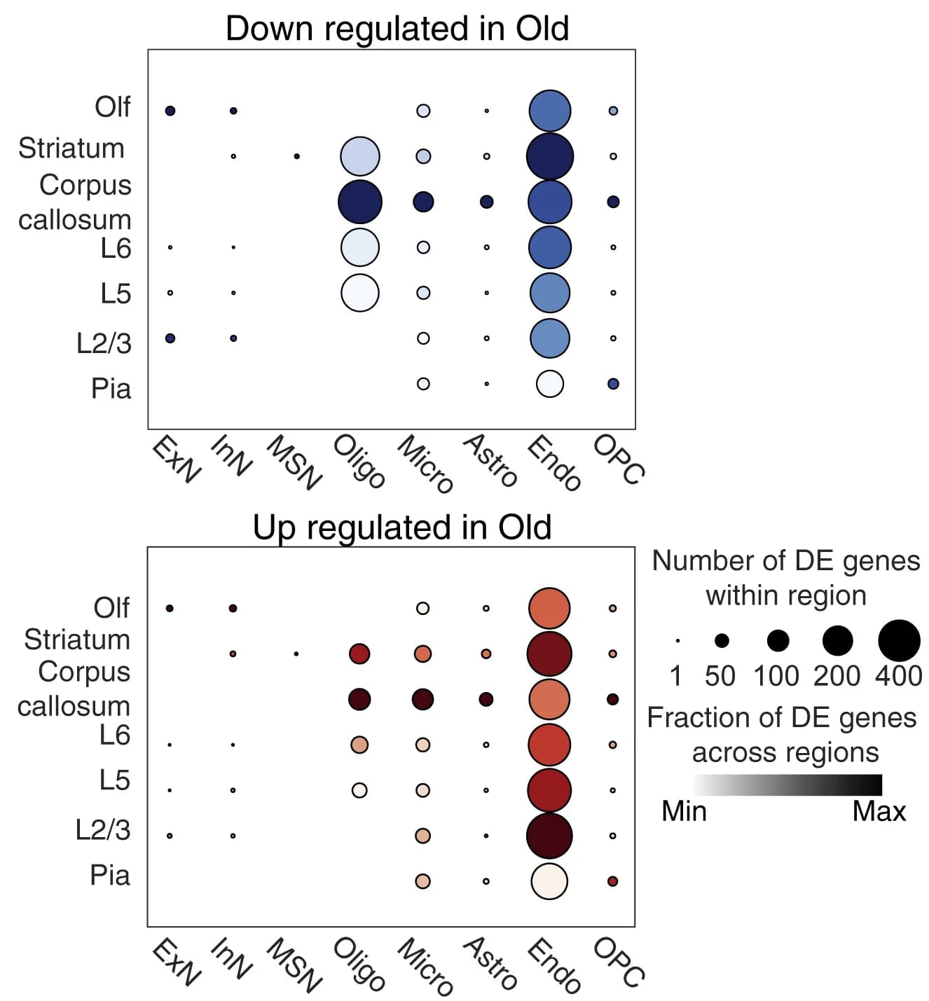 Open access visualization of Bubble Plot, Differentially Expressed Genes, Cell Type, Spatial Location, Gene Expression