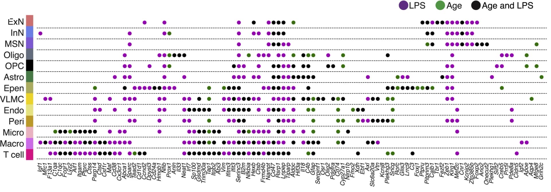 Open access visualization of Scatter Plot, Gene Expression, LPS, Cell Types, MERFISH