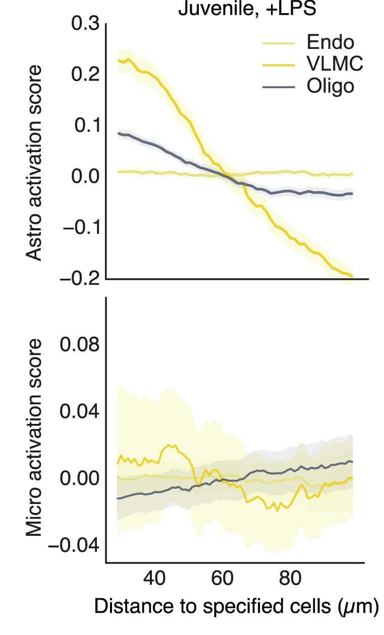 Open access visualization of Line Plot, Error Bars, Astrocytes, Microglia, Activation Scores