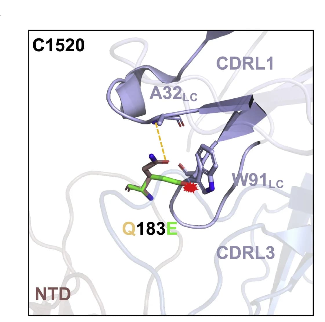 Open access visualization of Protein Structure, Chemical Structure, mAb C1520, Neutralization, Q183E