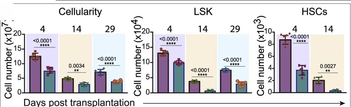 Open access visualization of Bar Plot, Error Bars, Scatter Plot, Bone Marrow, Cellularity