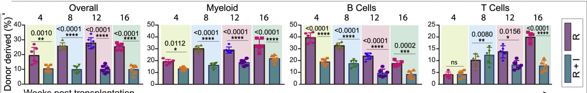 Open access visualization of Bar Plot, Error Bars, Bone Marrow, Radiation, VEGFR3 inhibitor