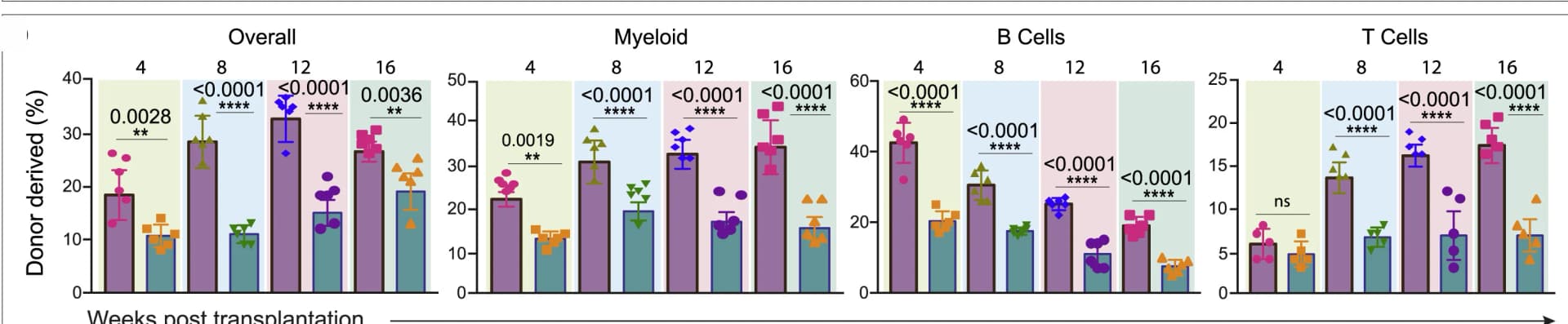 Open access visualization of Bar Plot, Error Bars, Scatter Plot, BM cells, Wild-type mice