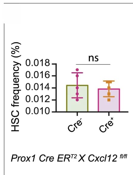 Open access visualization of Bar Plot, Error Bars, HSCs, Bones, Prox1 Cre ERT2X Cxcl12fl/fl mice