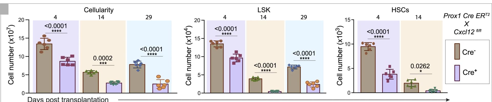Open access visualization of Bar Plot, Scatter Plot, Error Bars, Bone marrow cellularity, LSK cells