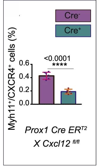 Open access visualization of Bar Plot, Error Bars, FACS, Myh11, CXCR4