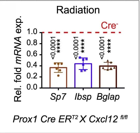 Open access visualization of Bar Plot, Error Bars, mRNA expression, Sp7, Ibsp