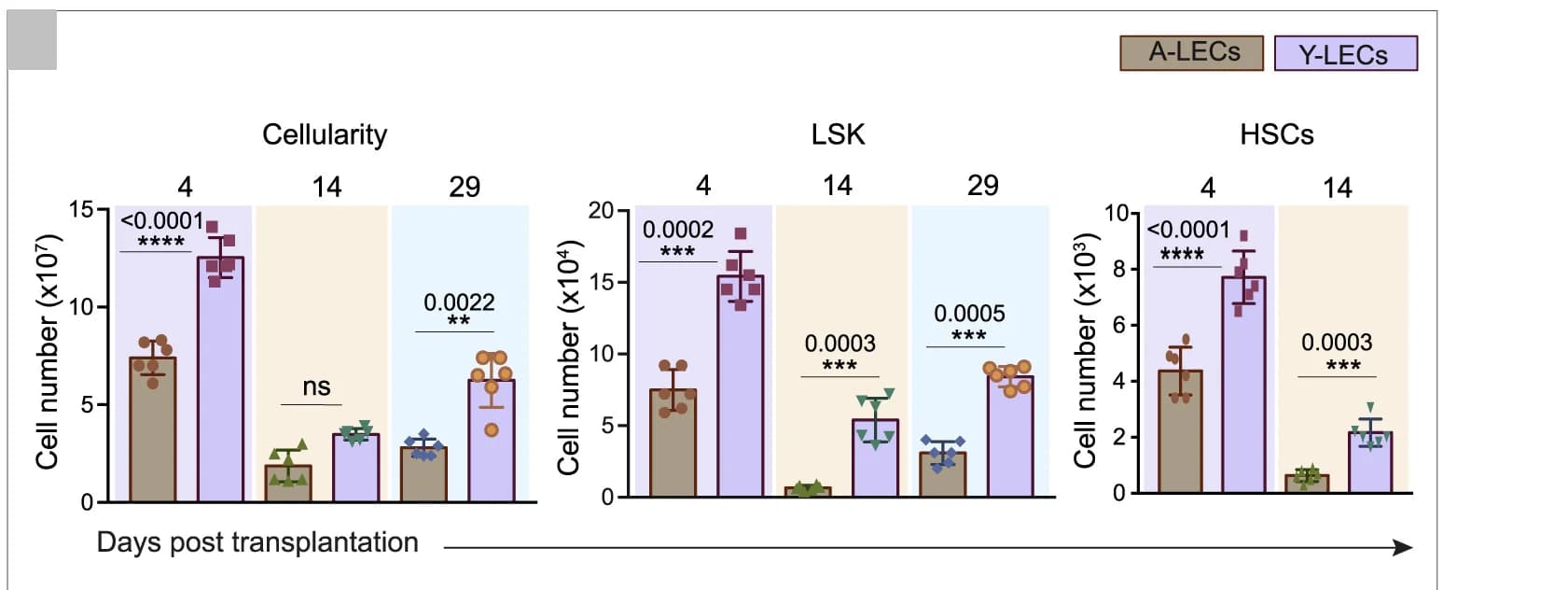 Open access visualization of Bar Plot, Error Bars, Scatter Plot, Bone Marrow Cellularity, LSK Cells
