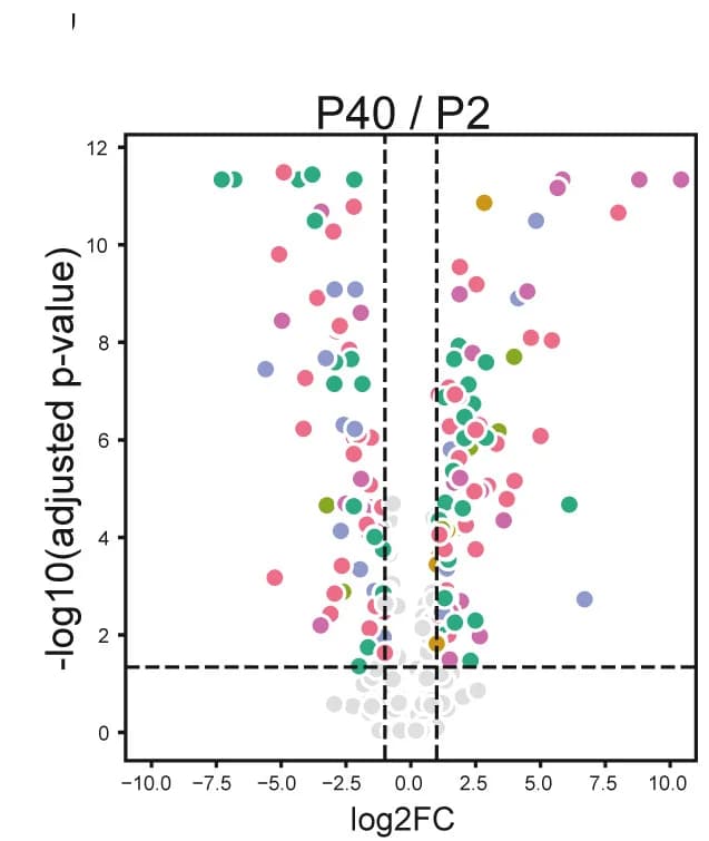 Open access visualization of Volcano Plot, Volcano Plots, Metabolites, Developmental Stages