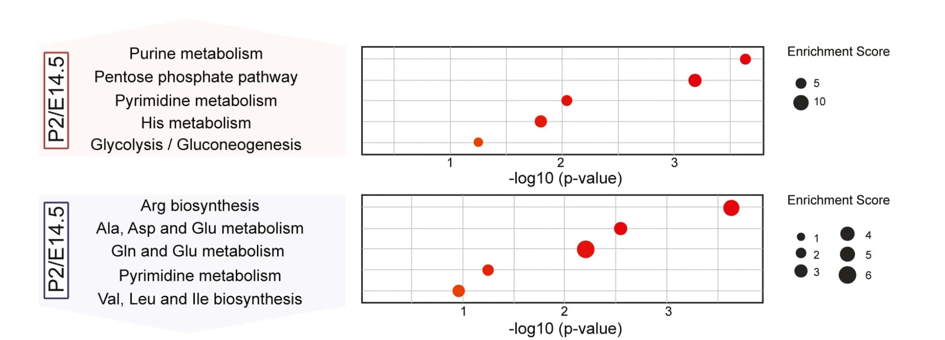 Open access visualization of Bubble Plot, Metabolic Pathway Enrichment Analysis, Metabolites, Upregulated, Downregulated