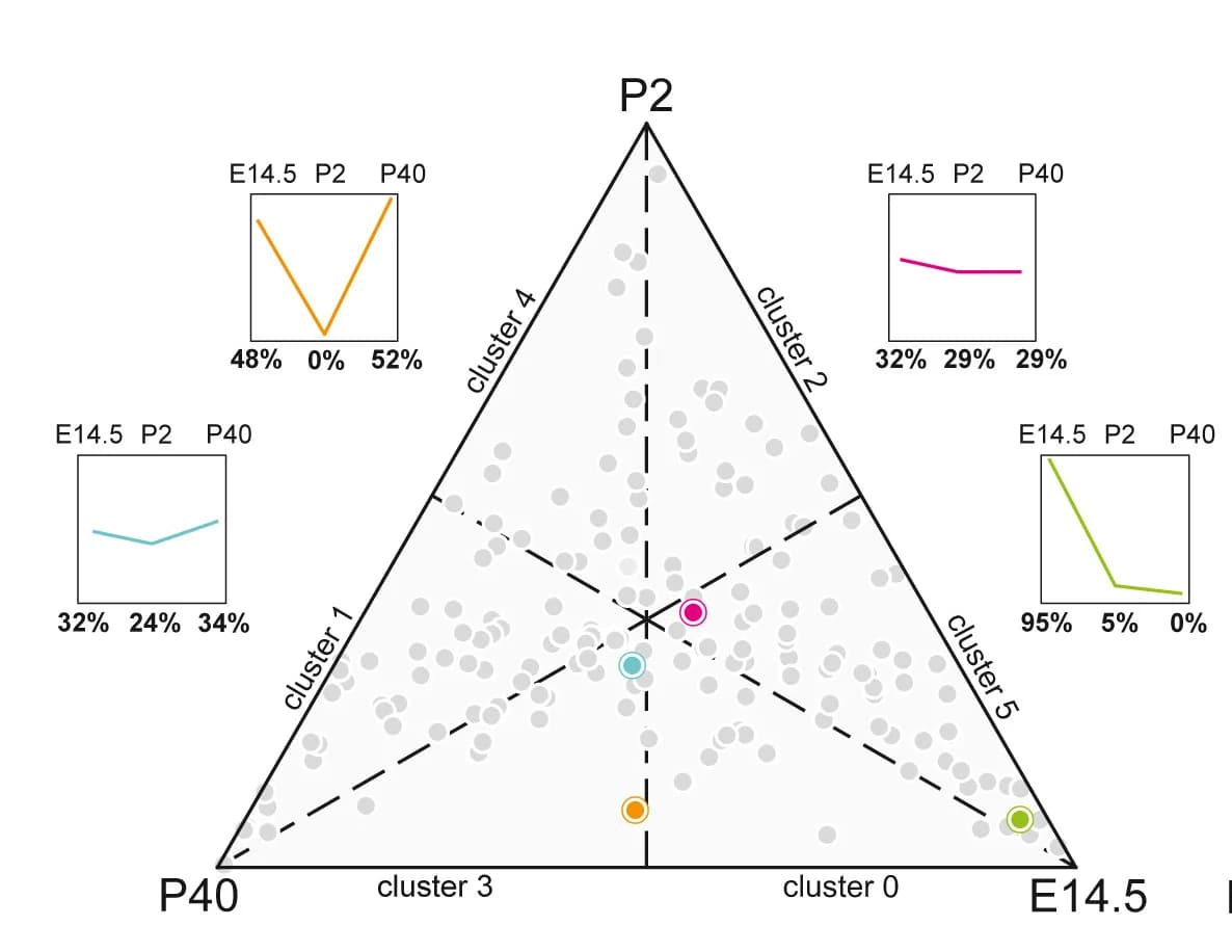 Open access visualization of Scatter Plot, Line Plot, Ternary Plot, Metabolites, Wild-type Cortex