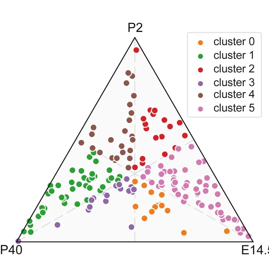 Open access visualization of Scatter Plot, Ternary Plot, KEGG, Metabolites, Wild-type Mice