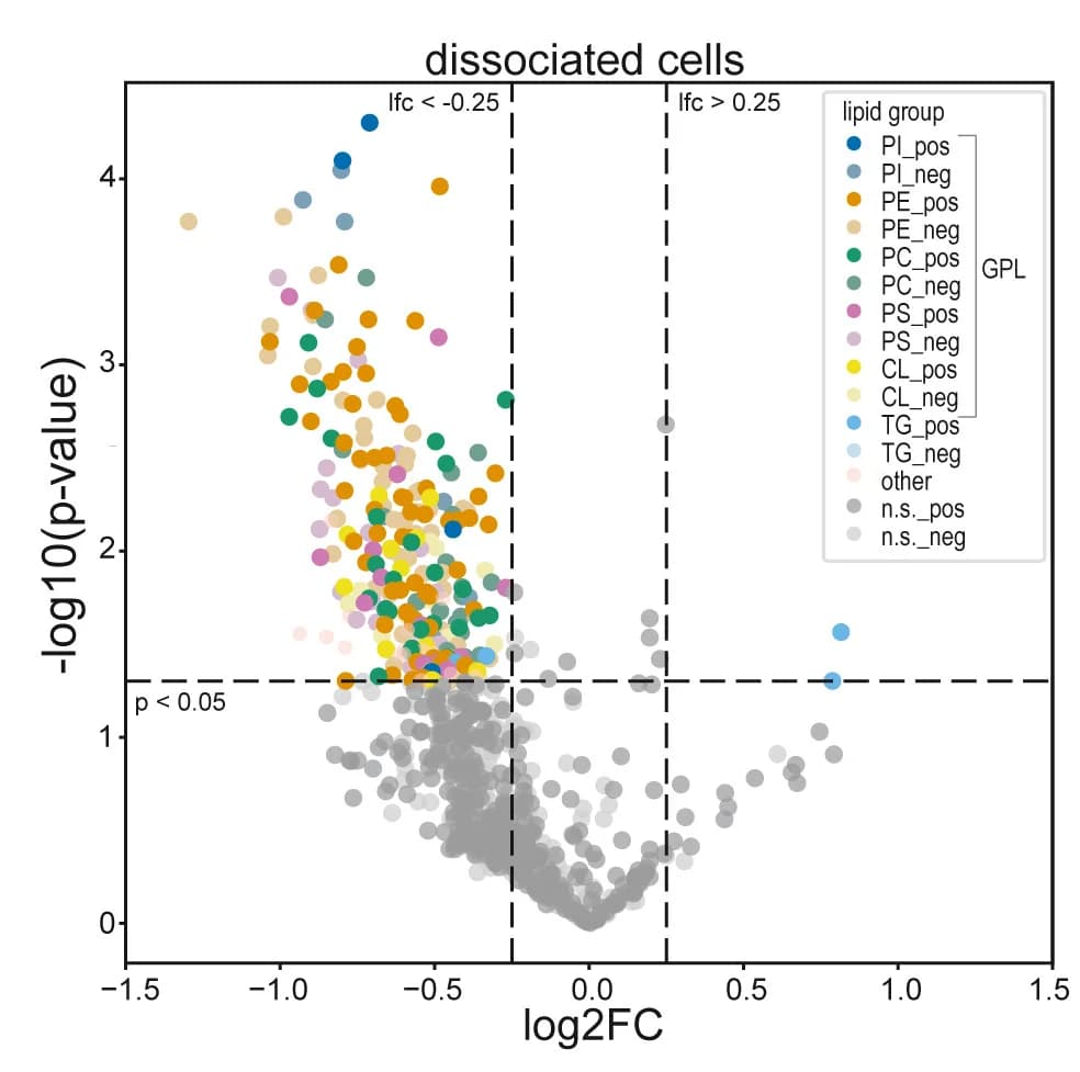 Open access visualization of Volcano Plot, Scatter Plot, Volcano Plots, Lipids, Dissociated Cells