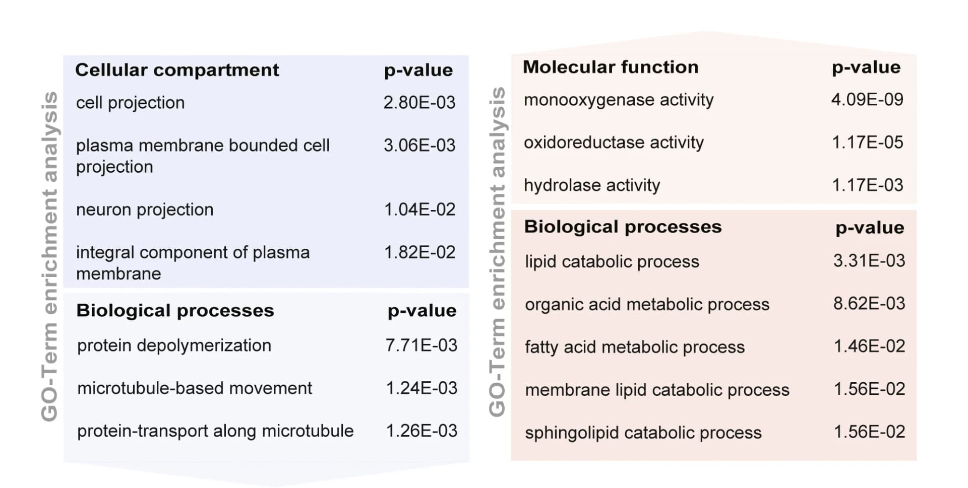 Open access visualization of Table Image, GO-term Enrichment Analysis, Proteins, False Discovery Rate