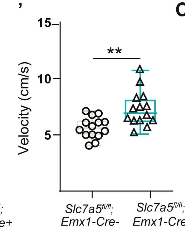 Open access visualization of Box Plot, Scatter Plot, Distance Traveled, Velocity