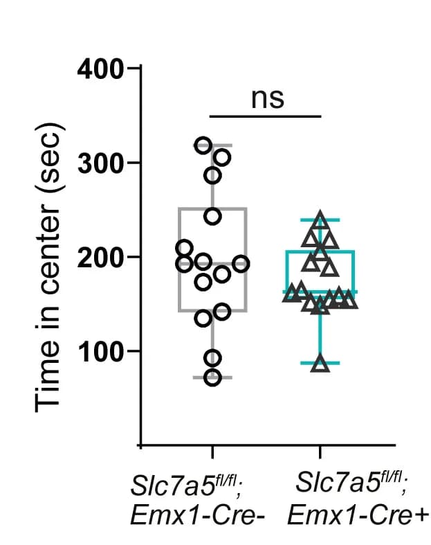 Open access visualization of Box Plot, Scatter Plot, Time Spent, Open Field, Mice