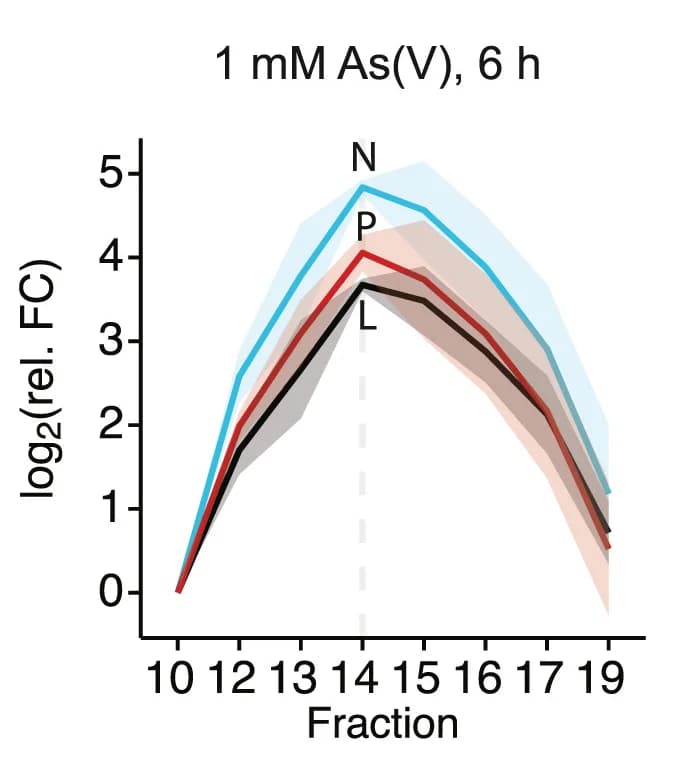 Open access visualization of Line Plot, Error Bars, N Protein, P Protein, L Protein