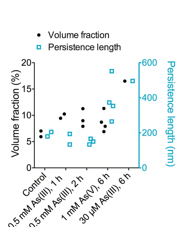 Open access visualization of Scatter Plot, Volume Fractions, Nucleocapsids, Tomograms