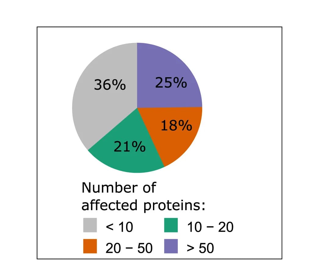 Open access visualization of Pie Chart, Gene Deletion Strains, Proteins, Differential Expression