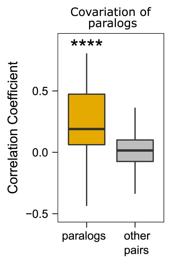 Open access visualization of Box Plot, Spearman Correlation Coefficients, Ohnologs, Protein Pairs